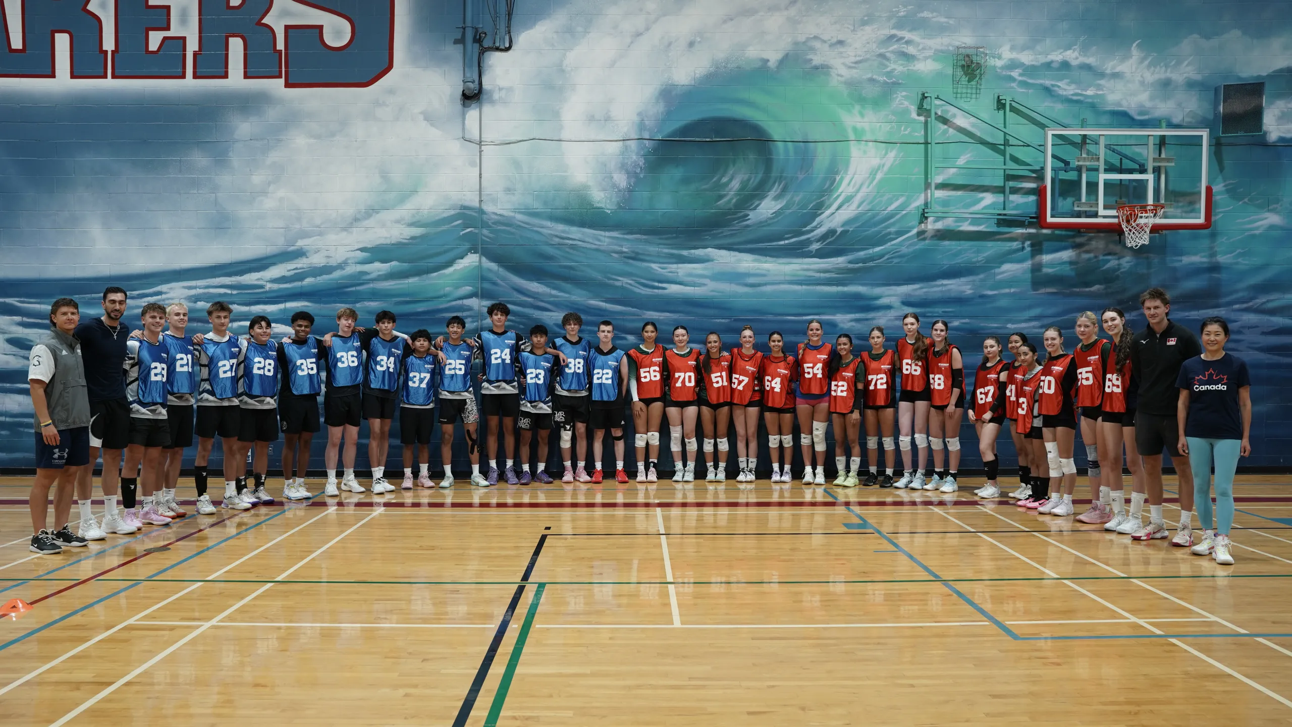 Volleyball Showcase in Winnipeg — VISION Elite Academy