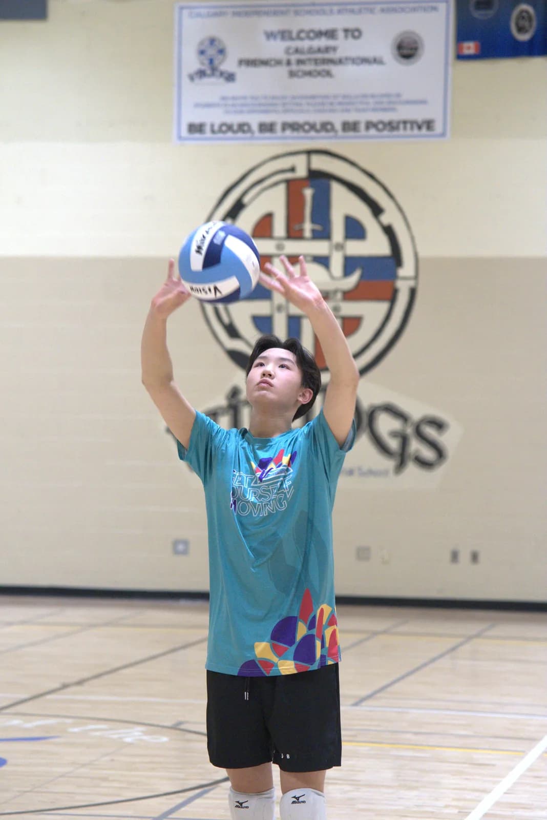 Private Volleyball Lessons in Winnipeg — VISION Elite Academy